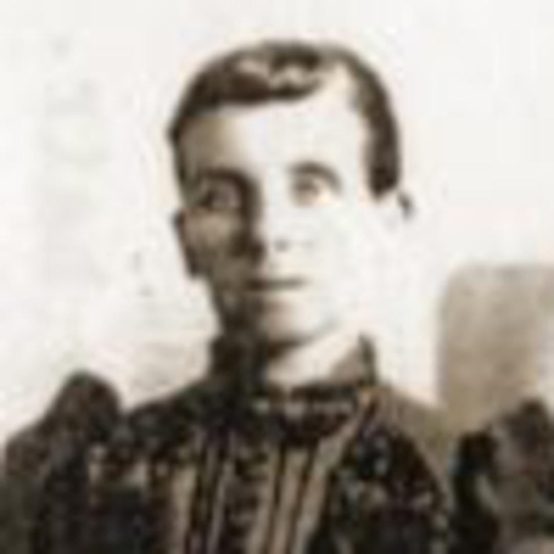 Nancy Fielding Briggs (1850 - 1911) Profile